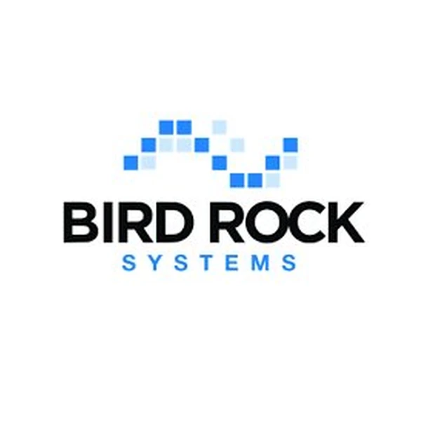 Bird Rock Systems logo with pixelated blue bird design and black sans-serif typography