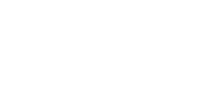 NYC Health + Hospitals public healthcare system logo