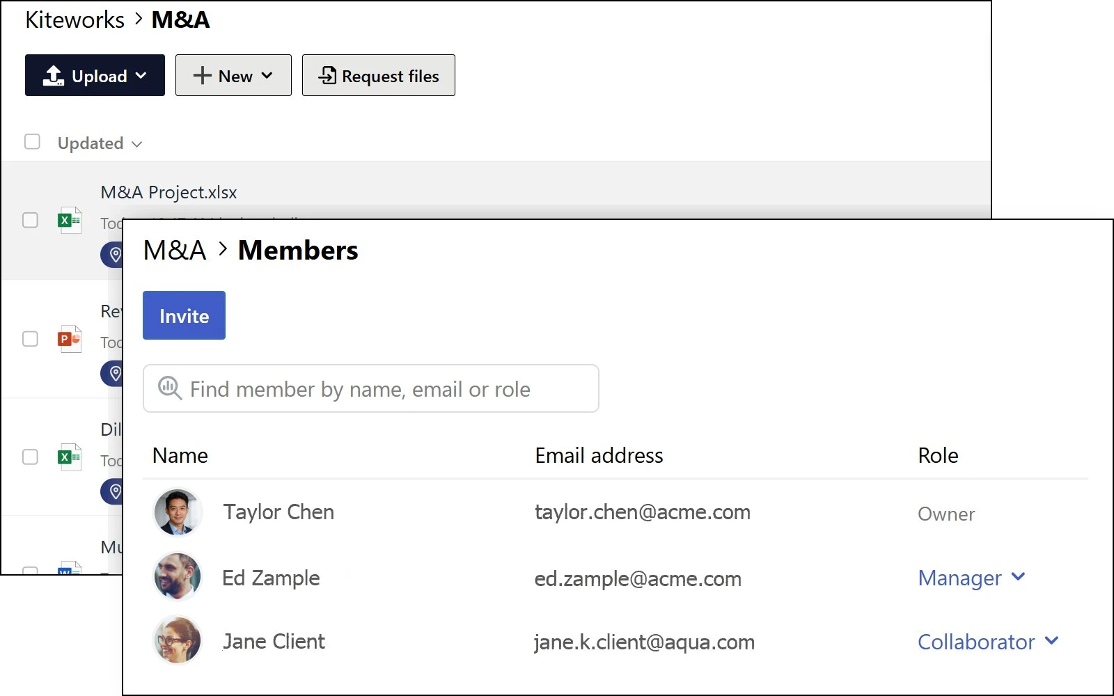 Enterprise collaboration platform showing team member management with role-based access controls and file sharing permissions
