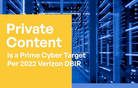 Prime Cyber Targets According to the 2022 Verizon DBIR