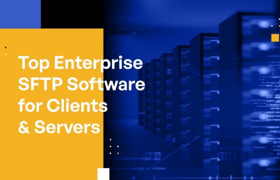 Top Enterprise SFTP Software for Clients & Servers