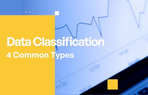 Data Classification - 4 Common Types
