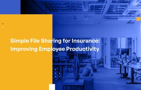 Simple File Sharing for Insurance: Improving Employee Productivity