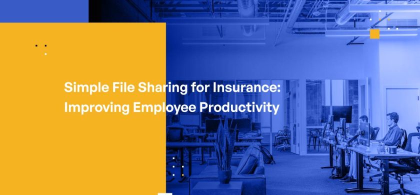 Simple File Sharing for Insurance: Improving Employee Productivity