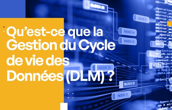 Qu'est-ce que la Gestion du Cycle de vie des Données (DLM)  ? [Expliqué simplement]