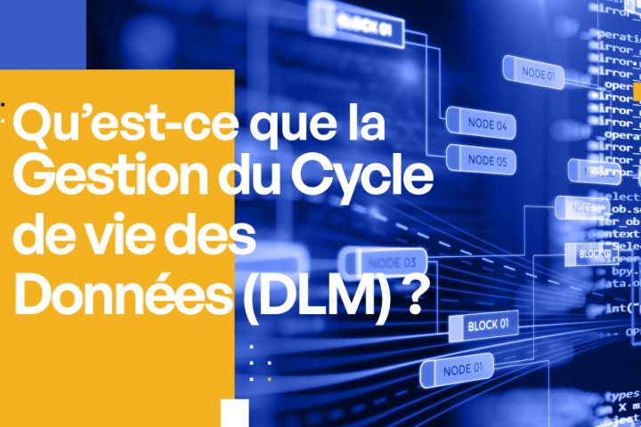 Qu'est-ce que la Gestion du Cycle de vie des Données (DLM)  ? [Expliqué simplement]