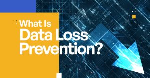 What Is Data Loss Prevention (DLP) [Complete Definition]