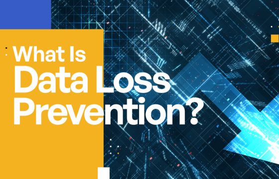 What Is Data Loss Prevention (DLP) [Complete Definition]