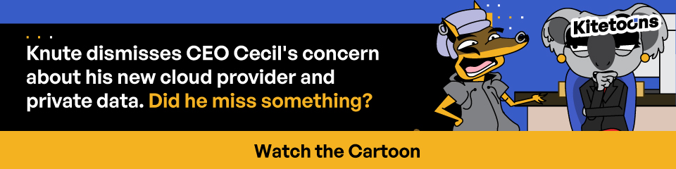 Knute dimisses CEO Cecil\'s concern about his new cloud provider and private data. Did he miss something?