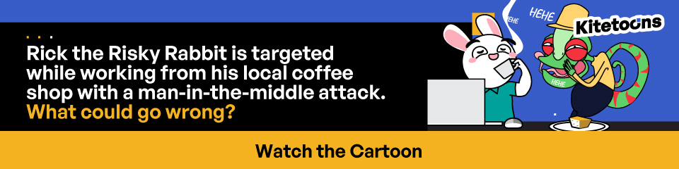 Rick the Risky Rabbit Targeted while working from his local coffee shop with a man-in-the-middle attack. What could go wrong?