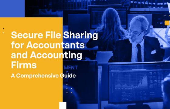 Secure File Sharing for Accountants and Accounting Firms: A Comprehensive Guide