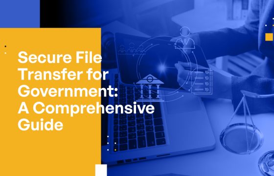 Secure File Transfer for Government: A Comprehensive Guide
