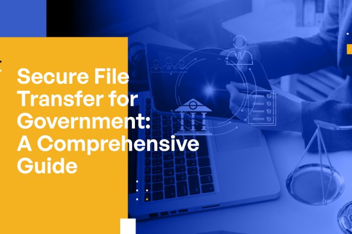 Secure File Transfer for Government: A Comprehensive Guide