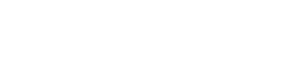 Gartner Peer Insight