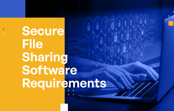 12 Essential Secure File Sharing Software Requirements