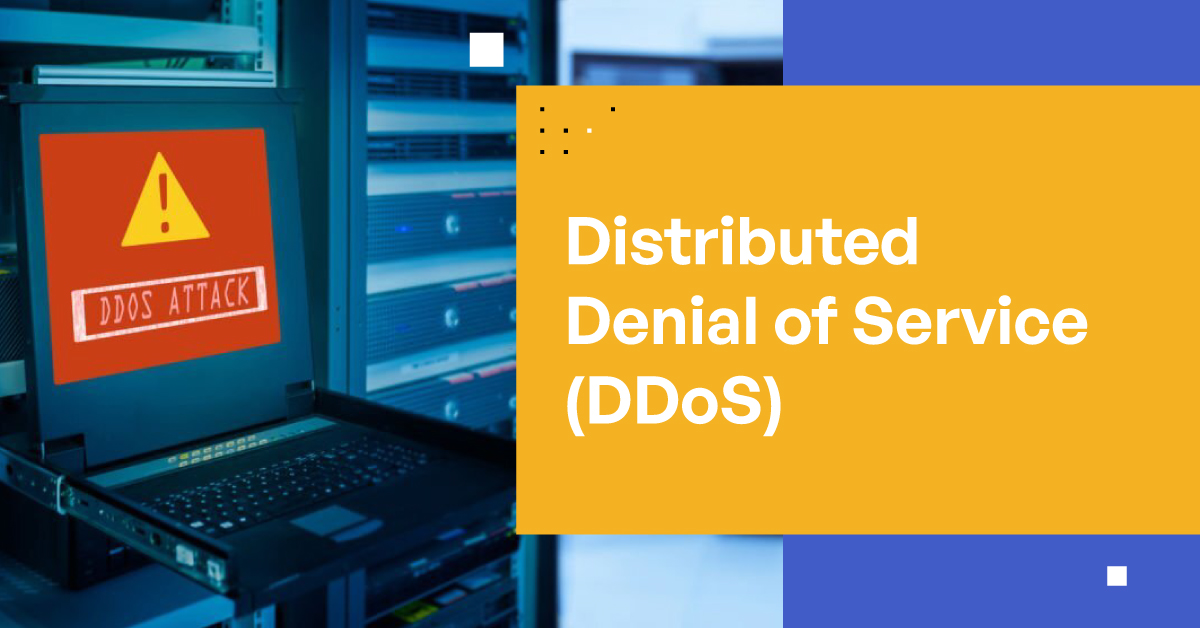 Distributed Denial of Service/DDoS Attacks