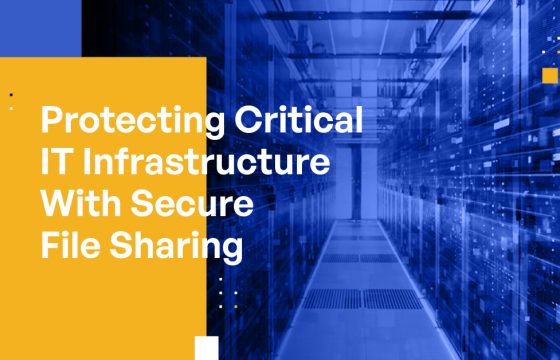 Protecting Critical Infrastructure With Secure File Sharing: Information Technology