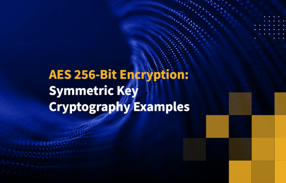 AES 256-Bit Encryption: Symmetric Key Cryptography Examples