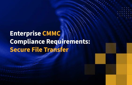 Enterprise CMMC Compliance Requirements: Secure File Transfer