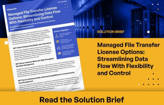 MFT License Options