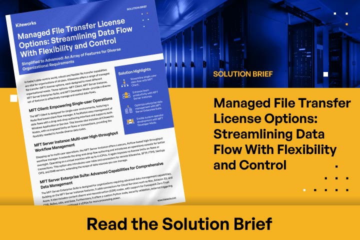 MFT License Options