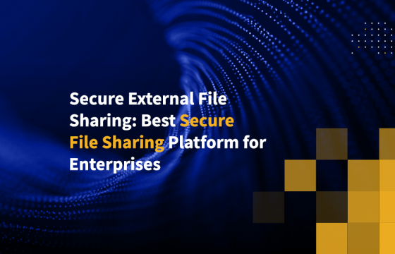 Secure External File Sharing: Best Secure File Sharing Platform for Enterprises