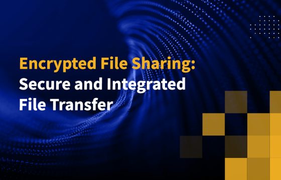 Encrypted File Sharing: Secure and Integrated File Transfer