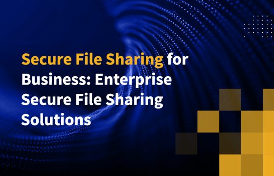 Secure File Sharing for Business: Enterprise Secure File Sharing Solutions