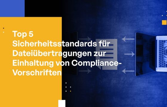 Top 5 Sicherheitsstandards für Dateiübertragungen zur Einhaltung von Compliance-Vorschriften