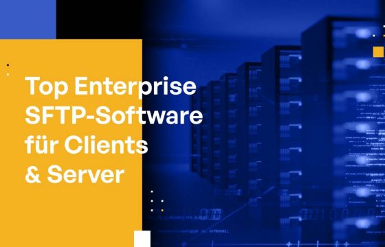 Top Enterprise SFTP-Software für Clients & Server