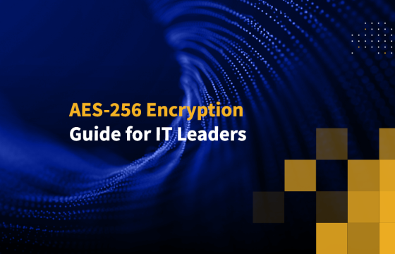 AES-256 Encryption Guide for IT Leaders