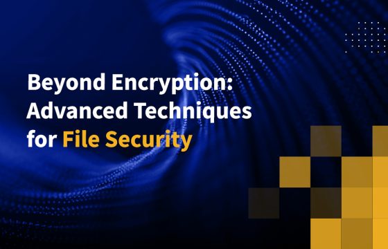 Beyond Encryption: Advanced Techniques for File Security