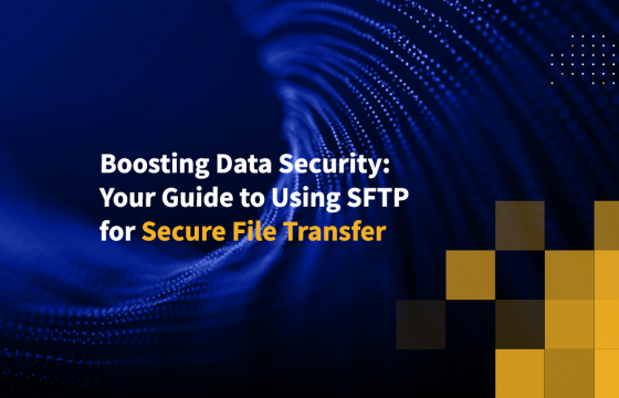 Boosting Data Security: Your Guide to Using SFTP for Secure File Transfer