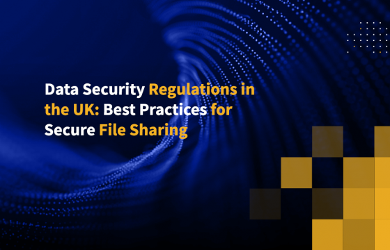 Data Security Regulations in the UK: Best Practices for Secure File Sharing