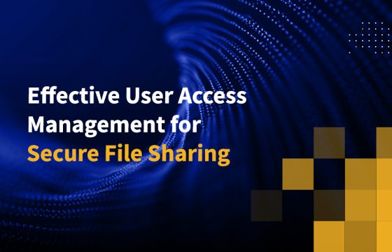 Effective User Access Management for Secure File Sharing