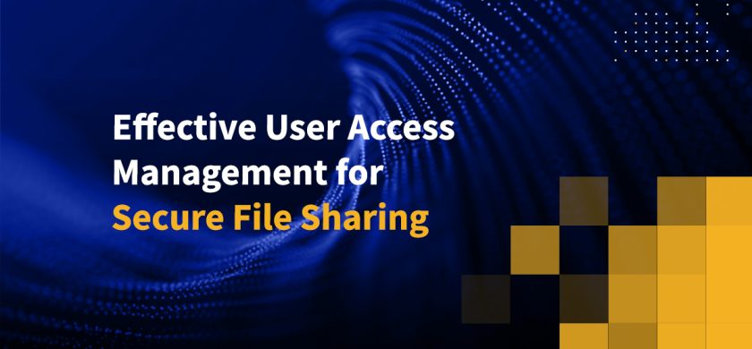 Effective User Access Management for Secure File Sharing