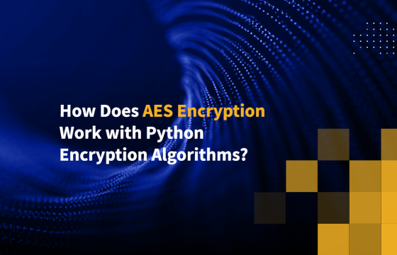 How Does AES Encryption Work with Python Encryption Algorithms?