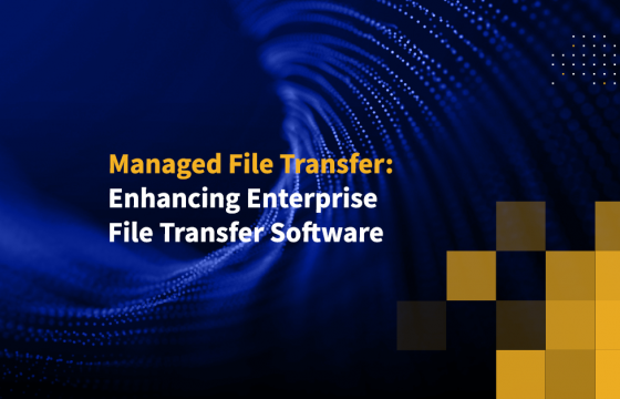 Managed File Transfer: Enhancing Enterprise File Transfer Software