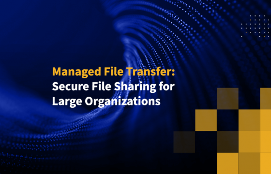 Managed File Transfer: Secure File Sharing for Large Organizations