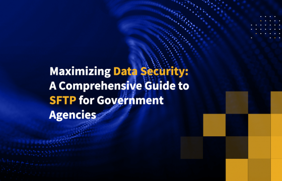 Maximizing Data Security: A Comprehensive Guide to SFTP for Government Agencies