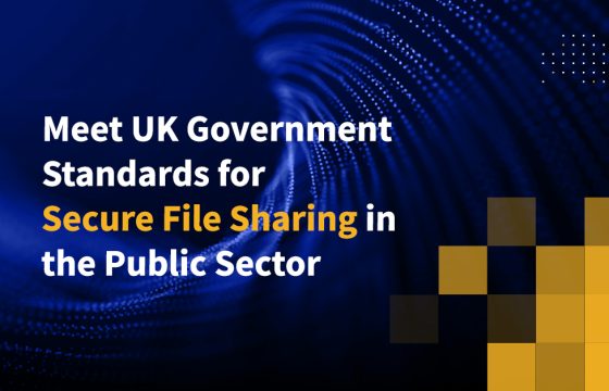 Meet UK Government Standards for Secure File Sharing in the Public Sector