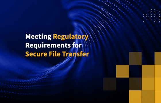 Meeting Regulatory Requirements for Secure File Transfer