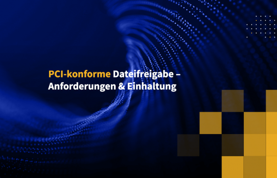 PCI-konforme Dateifreigabe – Anforderungen & Einhaltung
