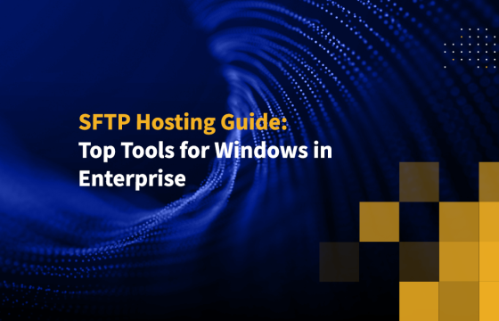 SFTP Hosting Guide: Top Tools for Windows in Enterprise