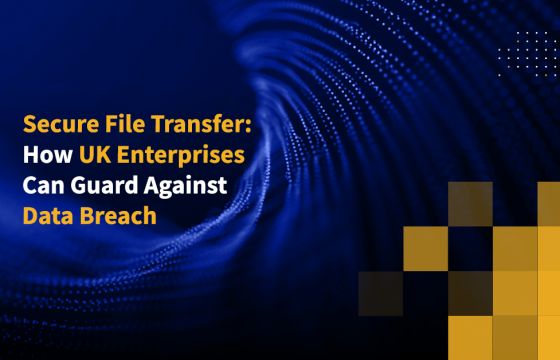Secure File Transfer: How UK Enterprises Can Guard Against Data Breach