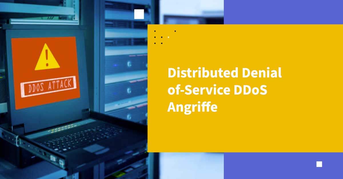 Distributed Denial of Service/DDoS Attacks