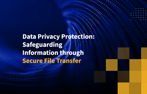 Data Privacy Protection: Safeguarding Information through Secure File Transfer
