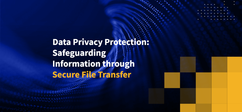 Data Privacy Protection: Safeguarding Information through Secure File Transfer