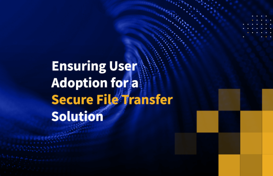 Ensuring User Adoption for a Secure File Transfer Solution