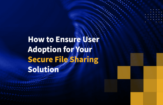 How to Ensure User Adoption for Your Secure File Sharing Solution